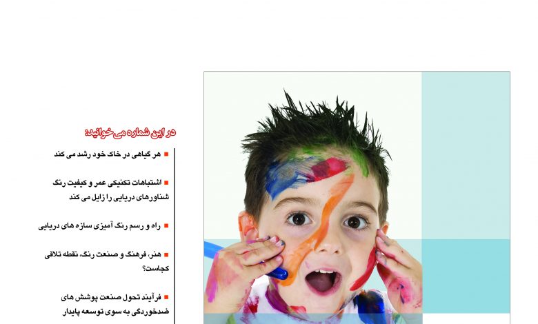 برون سپاری مالی و مالیاتی