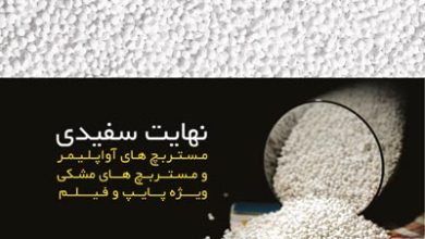 Description: http://inpia.ir/Admin/upload/banners/payon_l1.png