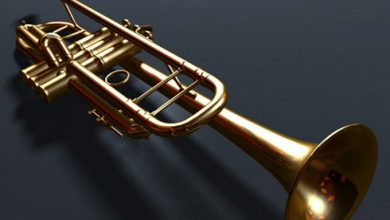 Description: http://inpia.ir/Admin/upload/banners/payon_l1.png