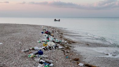 Description: http://inpia.ir/Admin/upload/banners/payon_l1.png