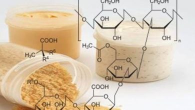 Description: http://inpia.ir/Admin/upload/banners/payon_l1.png