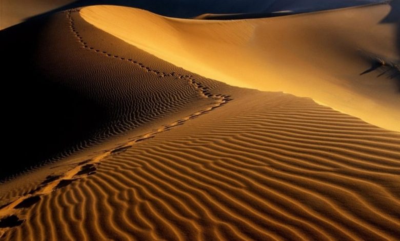 برون سپاری مالی و مالیاتی