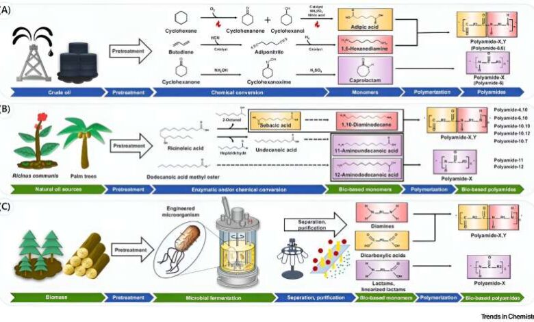 strategies for environ
